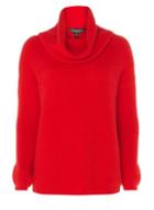 Dorothy Perkins Red Cowl Neck Jumper