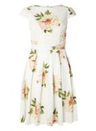 Dorothy Perkins Cream Floral Fit And Flare Dress