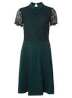 Dorothy Perkins *tall Green Lace Collar Dress