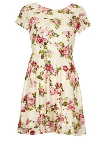 Dorothy Perkins *tenki Cream Lace Floral Skater Dress