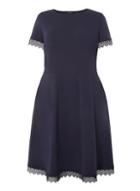 Dorothy Perkins Dp Curve Navy Lace Trim Fit And Flare Dress