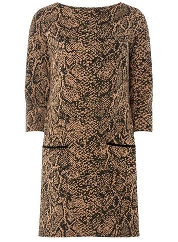 Dorothy Perkins Multi Colour Animal Print Jacquard Shift Dress
