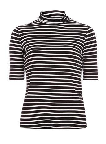 Dorothy Perkins Stripe Polo Neck