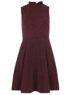 Dorothy Perkins Plum Victoriana Dress