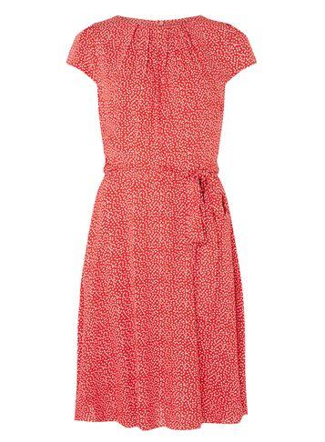 Dorothy Perkins *billie & Blossom Tall Red Spot Skater Dress