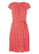 Dorothy Perkins *billie & Blossom Tall Red Spot Skater Dress