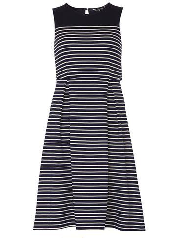 Dorothy Perkins Navy Stripe Fit And Flare Dress