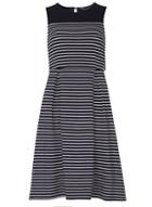 Dorothy Perkins Navy Stripe Fit And Flare Dress