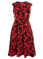Dorothy Perkins *fever Fish Red Rose Printed Dress