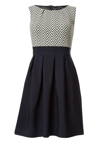 Dorothy Perkins *tenki Navy Striped Print Skater Dress