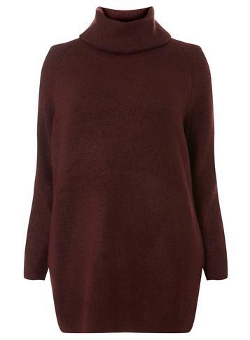 Dorothy Perkins *dp Curve Burgundy Roll Neck Jumper