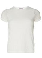 Dorothy Perkins Petite White Geometric Lace T-shirt