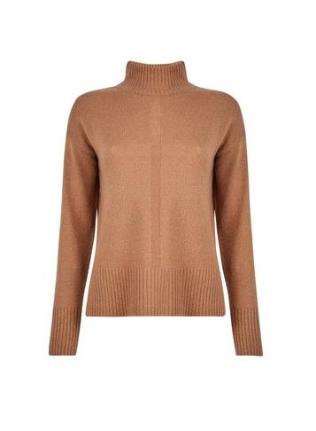 Dorothy Perkins Camel Spandex High Neck Jumper