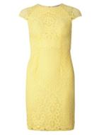 Dorothy Perkins Petite Lemon Yellow Lace Dress