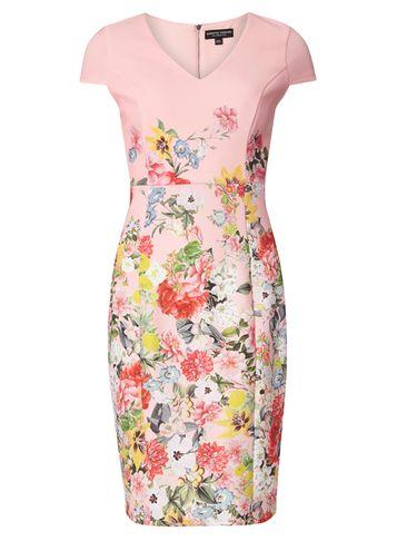 Dorothy Perkins Blush Floral Scuba Pencil Dress
