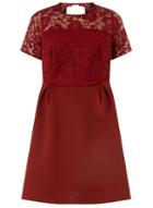 Dorothy Perkins *dp Curve Grape Lace Scuba Fit And Flare Dress