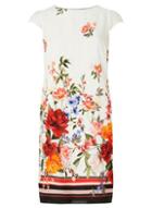 Dorothy Perkins *billie & Blossom Ivory Floral Print Shift Dress