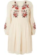 Dorothy Perkins Blush Embroidered Fit And Flare Dress