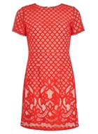 Dorothy Perkins Petite Red Lace A-line Dress