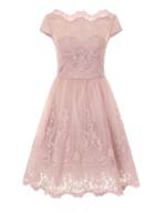 Dorothy Perkins *chi Chi London Brown Cap Sleeve Baroque Tea Dress