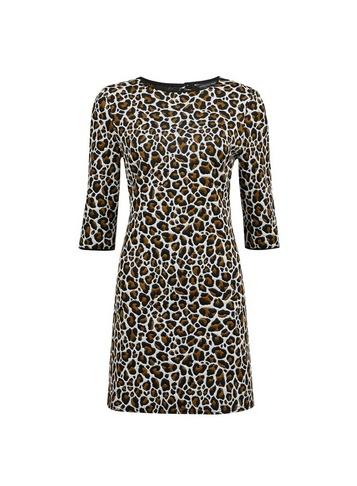 Dorothy Perkins *multi Colour Leopard Print Shift Dress