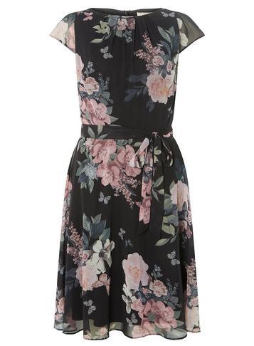 Dorothy Perkins *billie & Blossom Tall Black Large Bloom Print Skater Dress