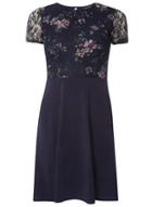 Dorothy Perkins Navy Floral Printed Lace Dress