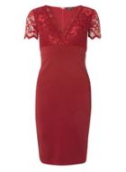 Dorothy Perkins *scarlett B Wine 'chloe' Midi Dress