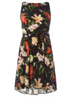 Dorothy Perkins *billie & Blossom Petite Black Butterfly Print Skater Dress