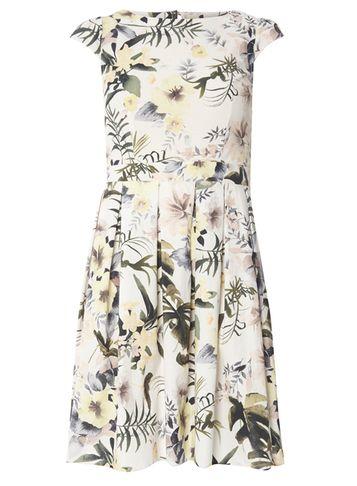 Dorothy Perkins Petite White Safari Cotton Dress