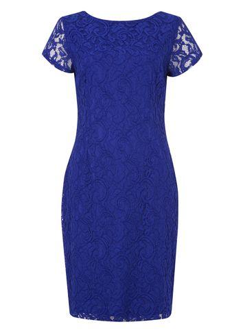 Dorothy Perkins *roman Originals Royal Blue Lace Dress