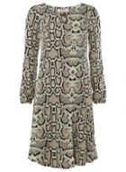 Dorothy Perkins *billie & Blossom Multi Colour Tall Neutral Snake Print Skater Dress