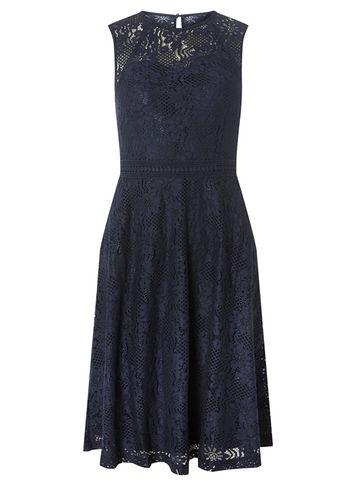Dorothy Perkins Navy Adele Lace Midi Dress