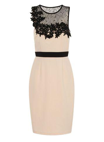 Dorothy Perkins *little Mistress Monochrome Lace Bodycon Dress