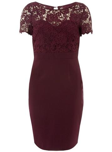 Dorothy Perkins *showcase Mulberry 'louella' Lace Bodycon Dres