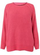 Dorothy Perkins *dp Curve Pink Betty Jumper