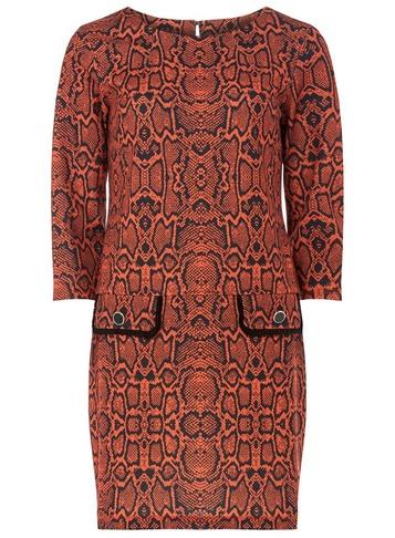 Dorothy Perkins Orange Snake Print Shift Dress