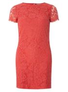 Dorothy Perkins Petite Red Lace Shift Dress
