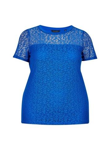 Dorothy Perkins *dp Curve Cobalt Leopard Lace T-shirt