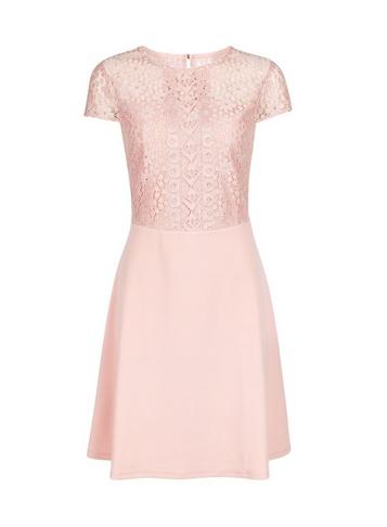 Dorothy Perkins Pink Scuba Lace Top Fit And Flare Dress