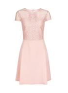 Dorothy Perkins Pink Scuba Lace Top Fit And Flare Dress