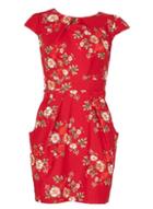 Dorothy Perkins *blue Vanilla Red Floral Print Tulip Bodycon Dress