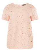 Dorothy Perkins Blush Lace Short Sleeve Top