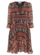 Dorothy Perkins *alice And You Rust Floral Gypsy Skater Dress