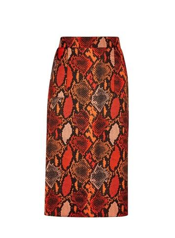 Dorothy Perkins Multi Colour Snake Print Midi Skirt