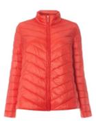 Dorothy Perkins Dp Curve Red Puffed Jacket