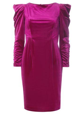 Dorothy Perkins Petite Pink Ruched Sleeve Dress