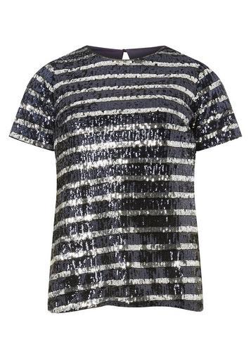 Dorothy Perkins Blue Striped Sequin T-shirt