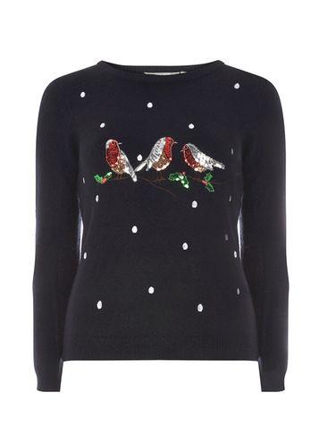 Dorothy Perkins Petite Navy Sequin Robin Jumper