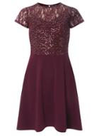 Dorothy Perkins Burgundy Sequin Fit And Flare Dress